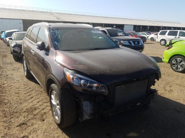 KIA SORENTO 2016 5xypg4a56gg017904