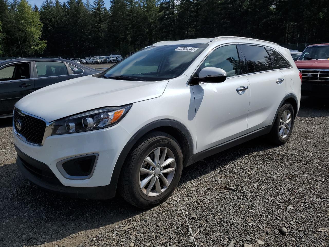 KIA SORENTO 2016 5xypg4a56gg019331