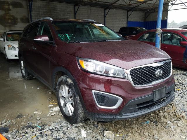 KIA SORENTO LX 2016 5xypg4a56gg142241