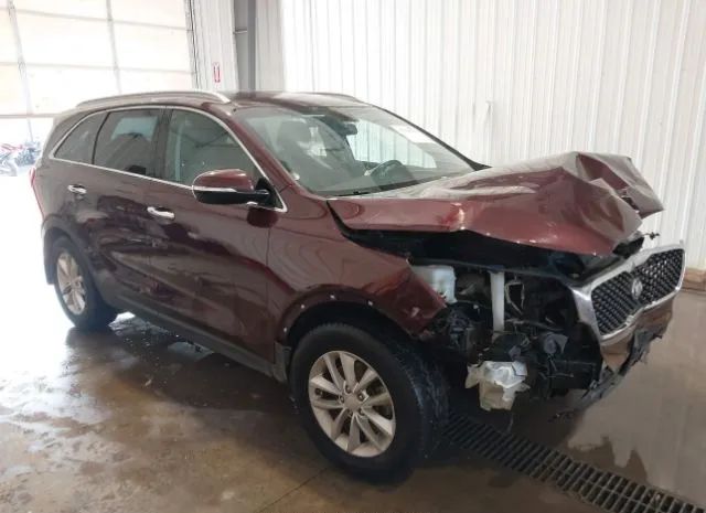 KIA SORENTO 2017 5xypg4a56hg272019