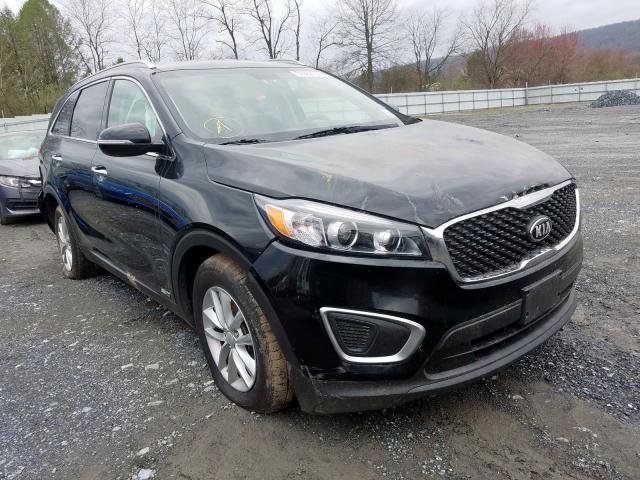 KIA SORENTO LX 2016 5xypgda31gg105497