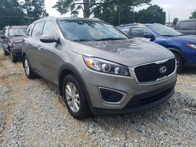 KIA NULL 2016 5xypgda31gg166140