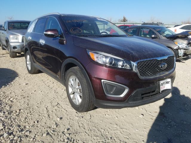 KIA NULL 2016 5xypgda35gg082256