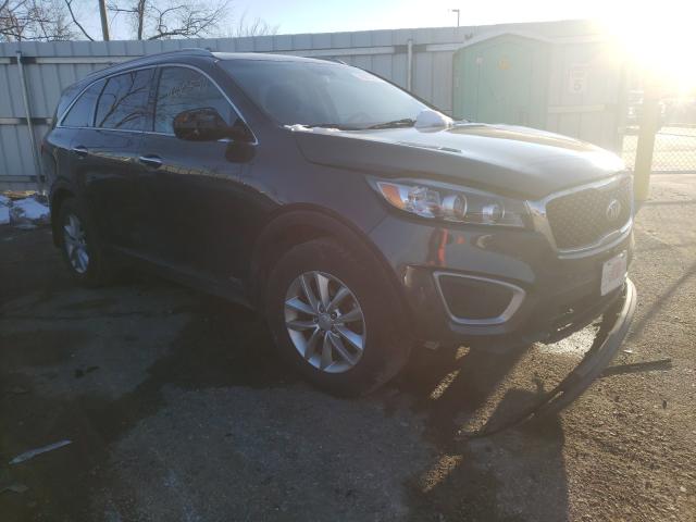 KIA NULL 2016 5xypgda36gg164206