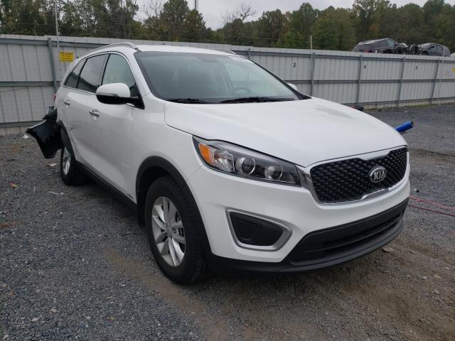 KIA NULL 2017 5xypgda36hg221442