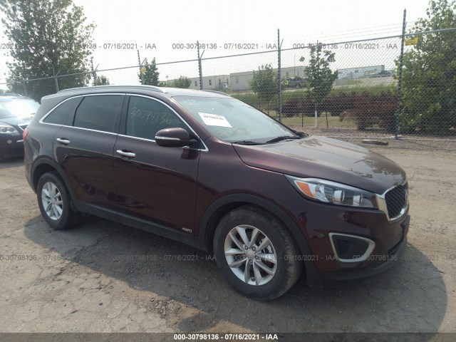 KIA NULL 2016 5xypgda37gg080041