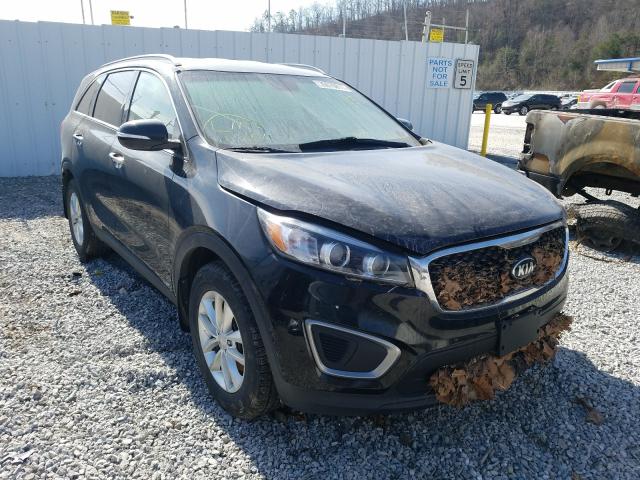 KIA NULL 2016 5xypgda38gg087533