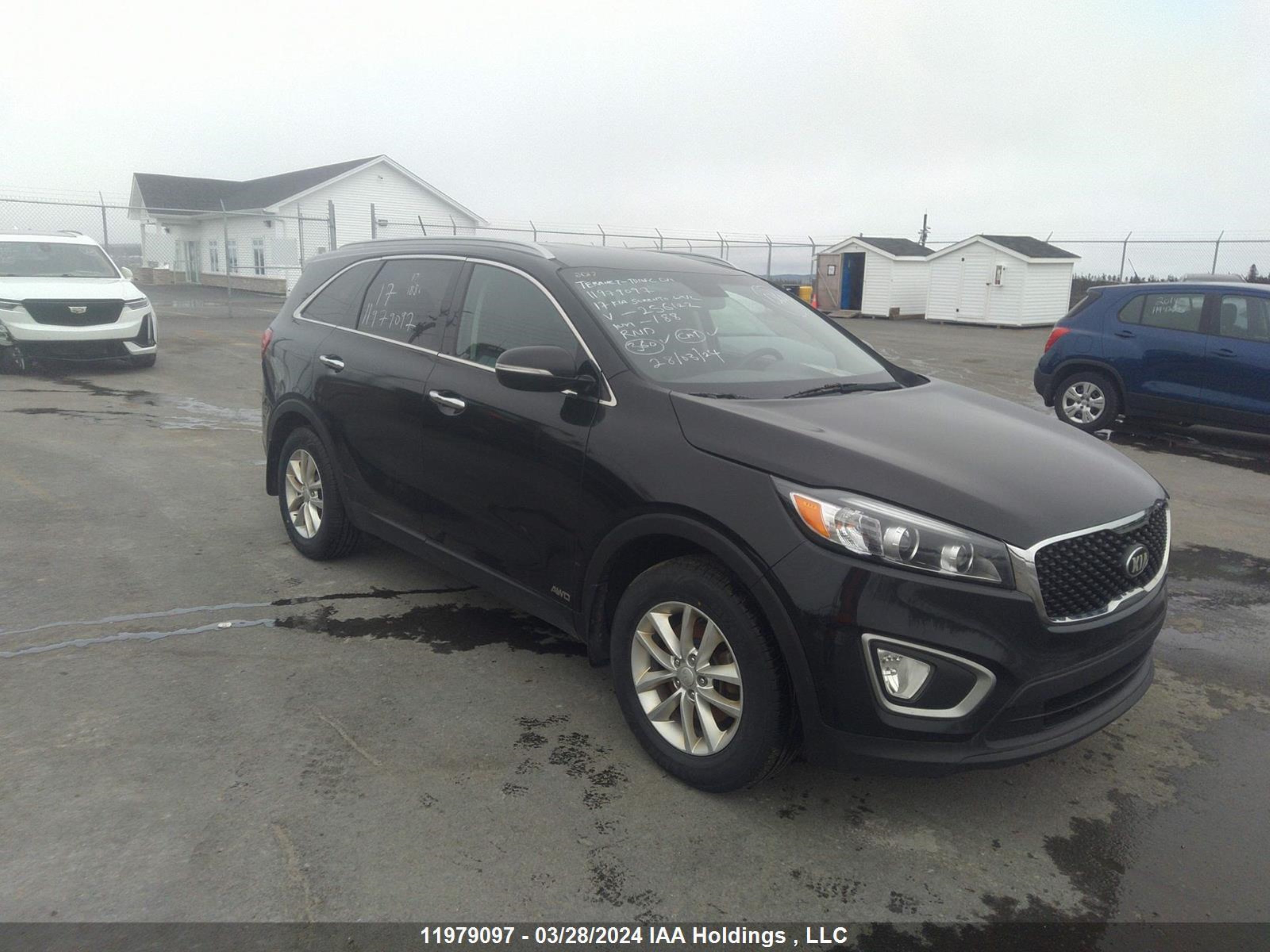 KIA SORENTO 2017 5xypgda39hg256122