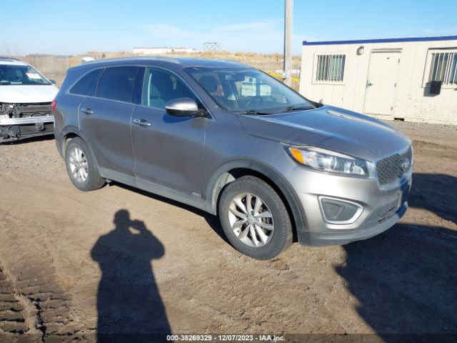 KIA SORENTO 2016 5xypgda3xgg033604