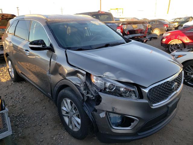 KIA NULL 2016 5xypgda3xgg043324