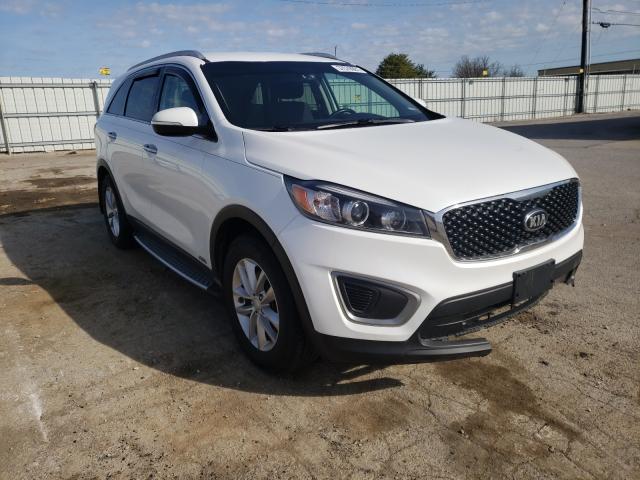 KIA NULL 2016 5xypgda3xgg100640