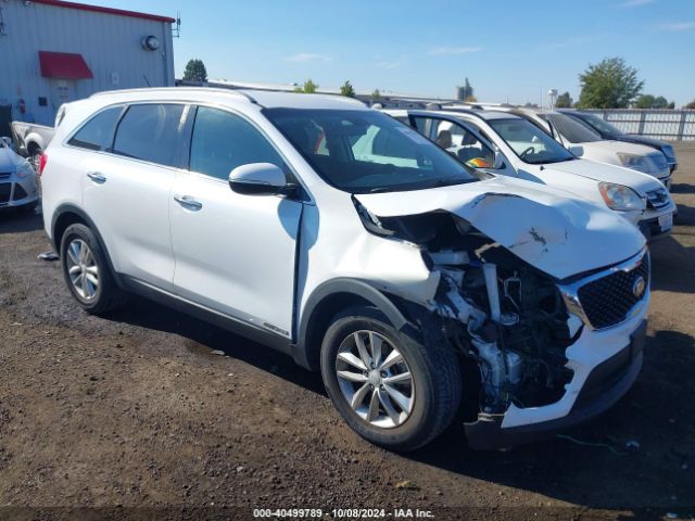 KIA SORENTO 2017 5xypgda50hg194059