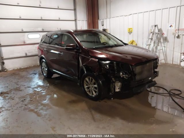 KIA SORENTO 2017 5xypgda52hg330126