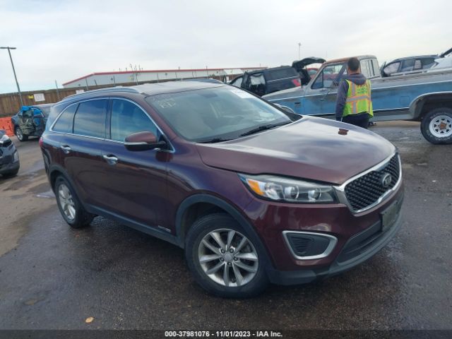 KIA SORENTO 2017 5xypgda57hg227896