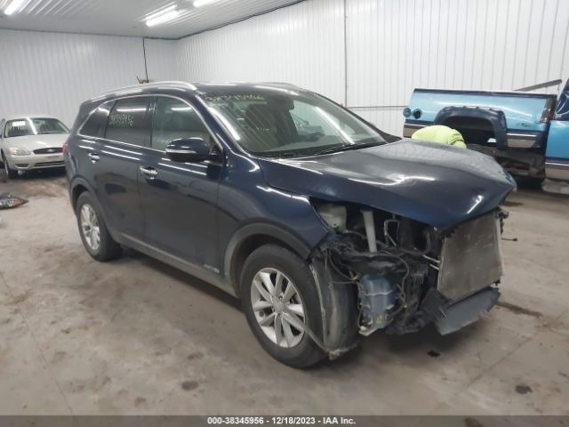 KIA SORENTO 2017 5xypgda58hg194634