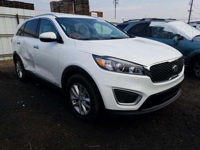 KIA SORENTO 2017 5xypgda58jg422752