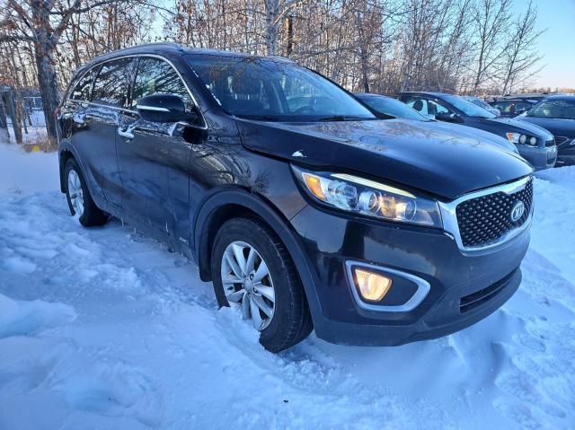 KIA SORENTO 2016 5xypgda59gg141651