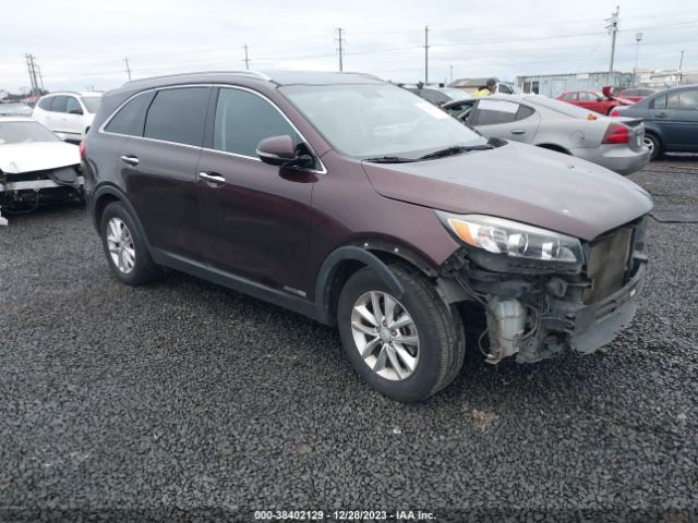 KIA SORENTO 2016 5xypgda5xgg062005