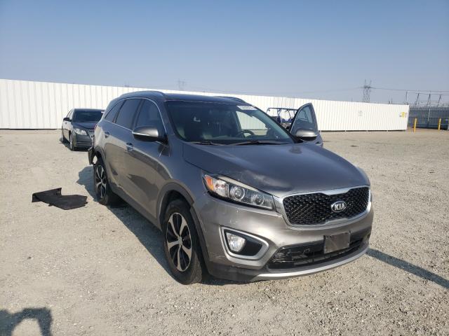 KIA SORENTO EX 2016 5xyph4a12gg114527