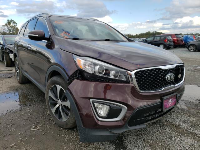 KIA SORENTO EX 2016 5xyph4a16gg005424