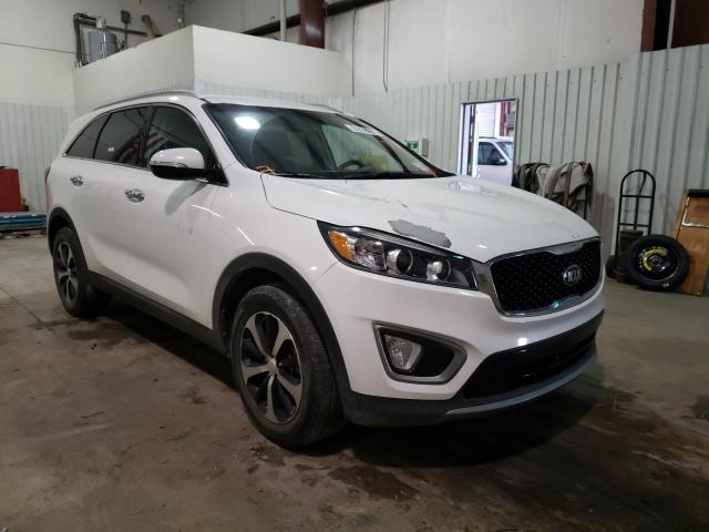 KIA SORENTO EX 2016 5xyph4a16gg123683