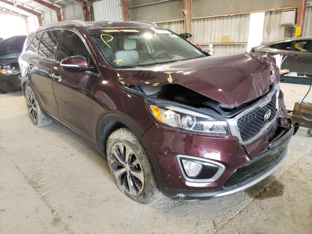 KIA SORENTO EX 2016 5xyph4a18gg138444