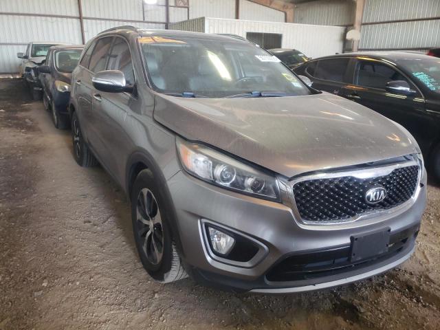 KIA SORENTO EX 2016 5xyph4a50gg113704