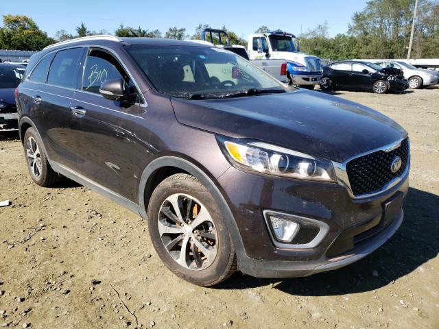 KIA SORENTO EX 2016 5xyph4a51gg157985