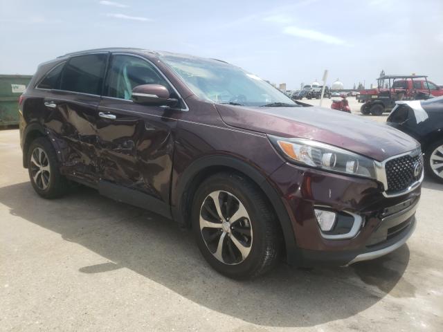 KIA SORENTO EX 2016 5xyph4a54gg158189