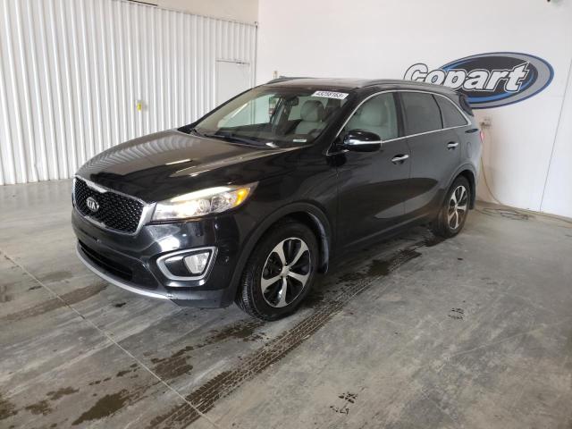 KIA SORENTO EX 2016 5xyph4a56gg006303