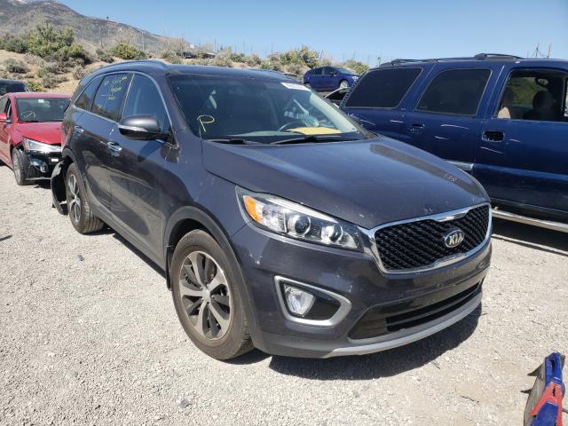 KIA SORENTO EX 2016 5xyph4a59gg084803