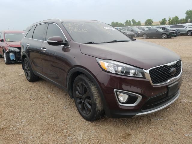 KIA SORENTO EX 2016 5xyph4a5xgg001623