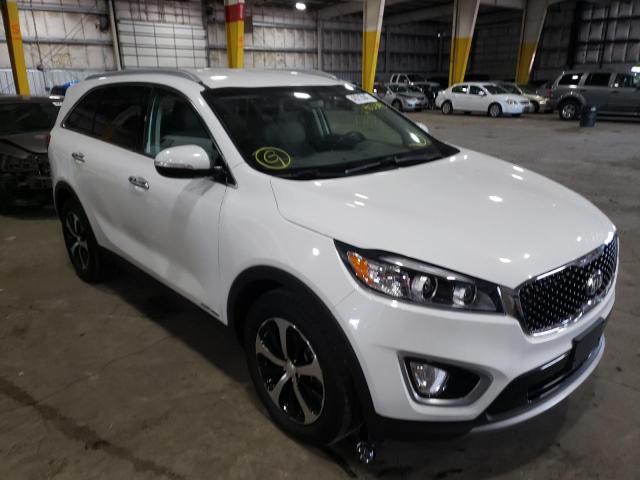 KIA SORENTO EX 2016 5xyphda54gg159777