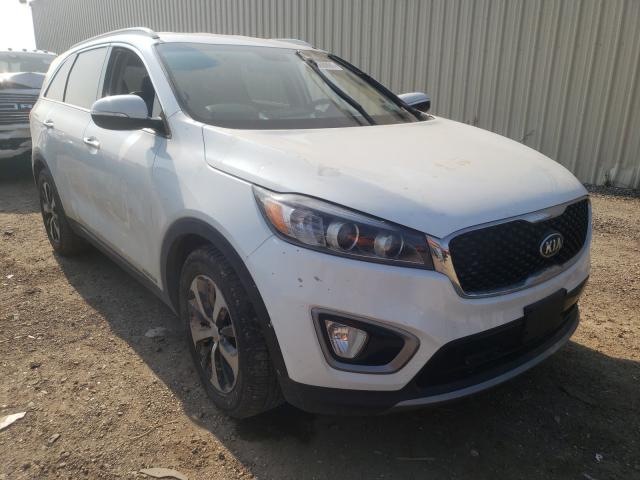 KIA SORENTO EX 2016 5xyphda55gg084989