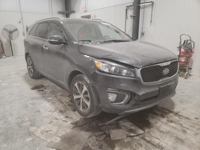 KIA SORENTO EX 2016 5xyphda57gg102098