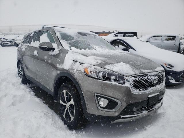 KIA SORENTO EX 2016 5xyphda58gg088616