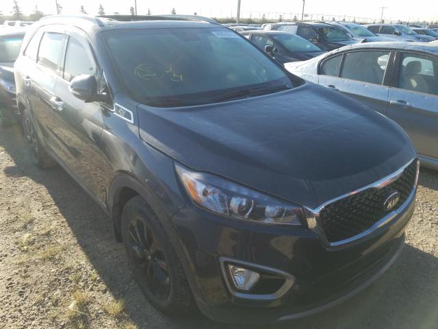 KIA SORENTO EX 2017 5xyphda58hg329110