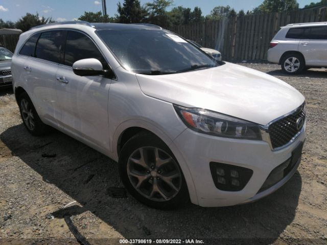 KIA SORENTO 2016 5xypk4a18gg031041