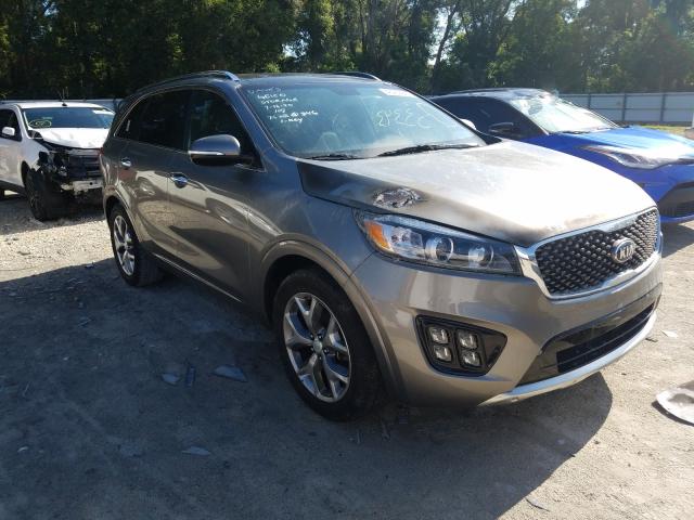 KIA NULL 2016 5xypk4a19gg040394