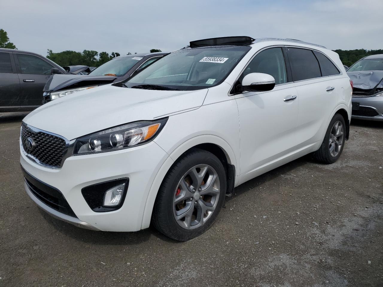 KIA SORENTO 2017 5xypk4a59hg307845