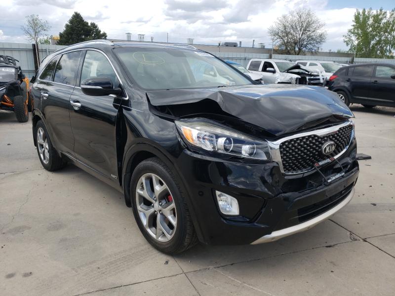 KIA SORENTO 2016 5xypkda51gg019557