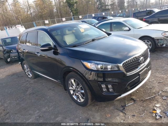 KIA SORENTO 2016 5xypkda51gg025567