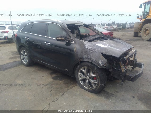 KIA SORENTO 2017 5xypkda52hg227755