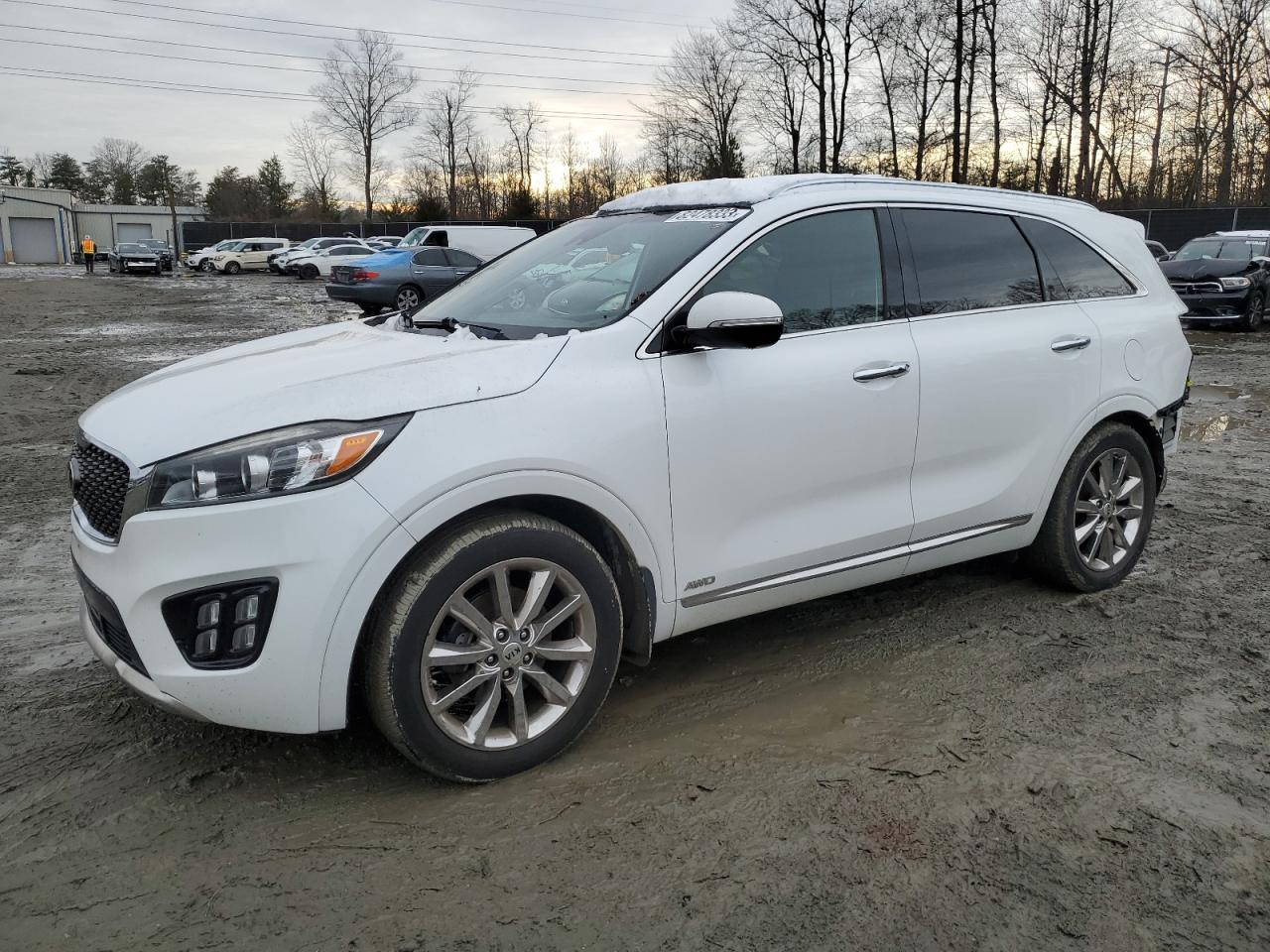 KIA SORENTO 2016 5xypkda55gg092804