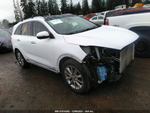 KIA SORENTO 2017 5xypkda58hg322241