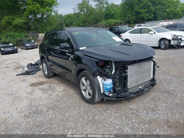 KIA SORENTO 2023 5xyrg4lc2pg190159