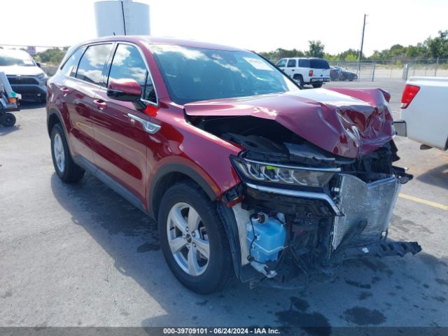 KIA SORENTO 2023 5xyrg4lc6pg221932