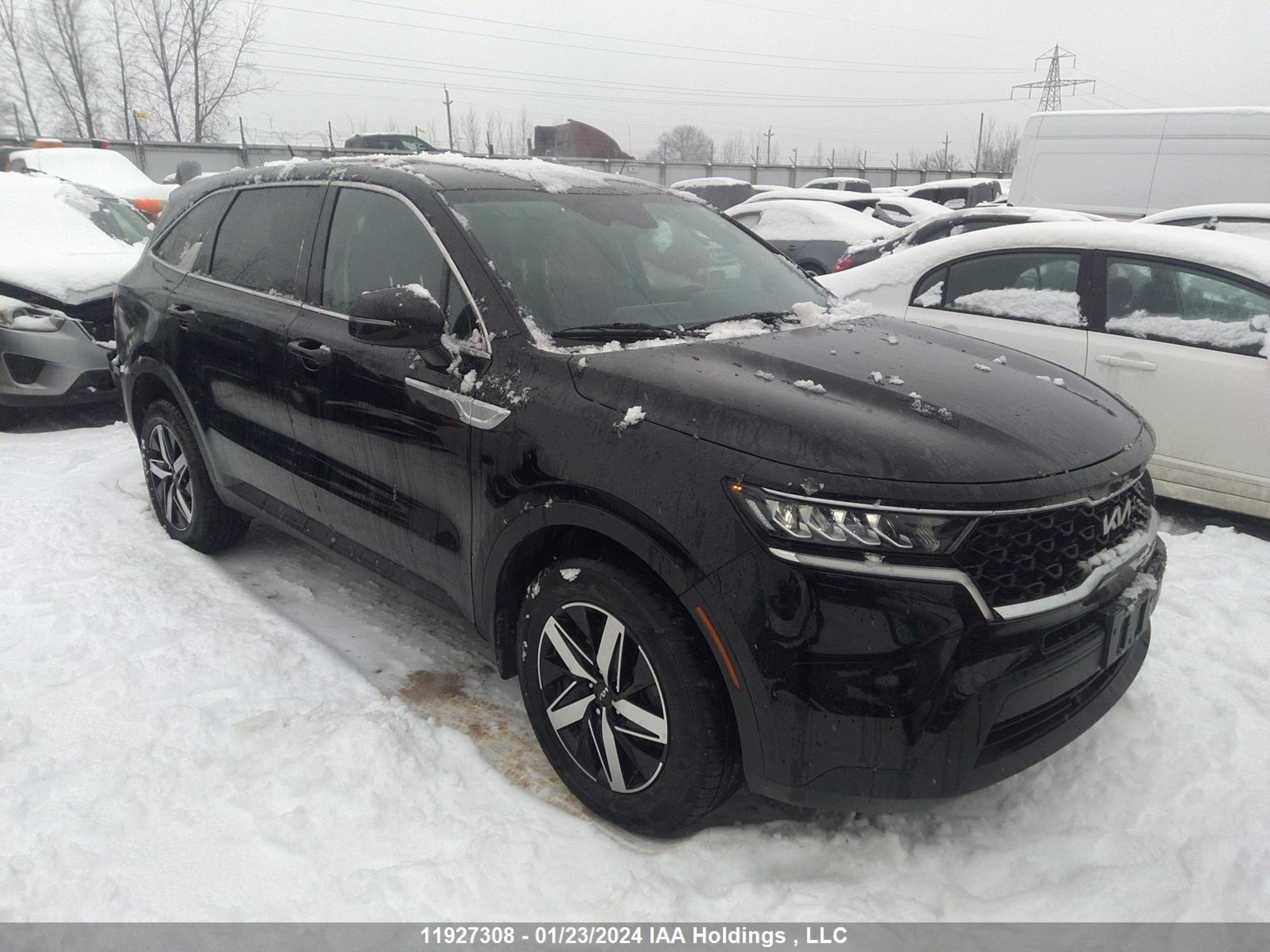 KIA SORENTO 2022 5xyrgdlc2ng089104