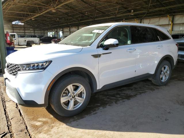 KIA SORENTO LX 2021 5xyrgdlc4mg023085