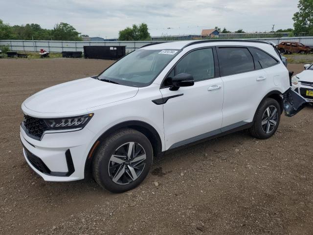 KIA SORENTO 2023 5xyrl4lc9pg236565